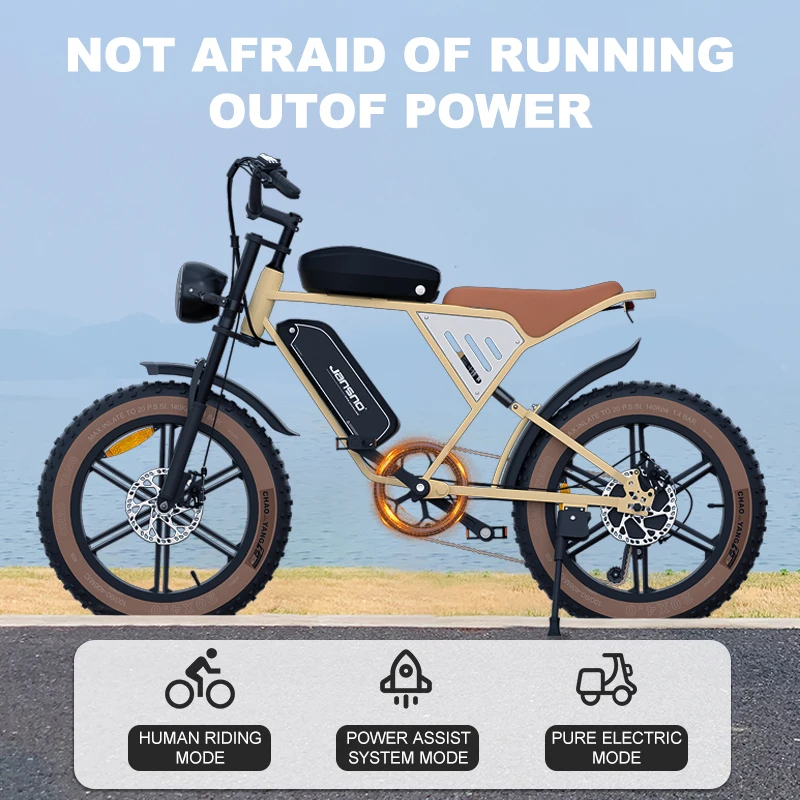 Adult electric bicycle brushless motor detachable dual battery 5-speed adjustable 20 in x 4.0 48V 34Ah 750W urban electric bicyc