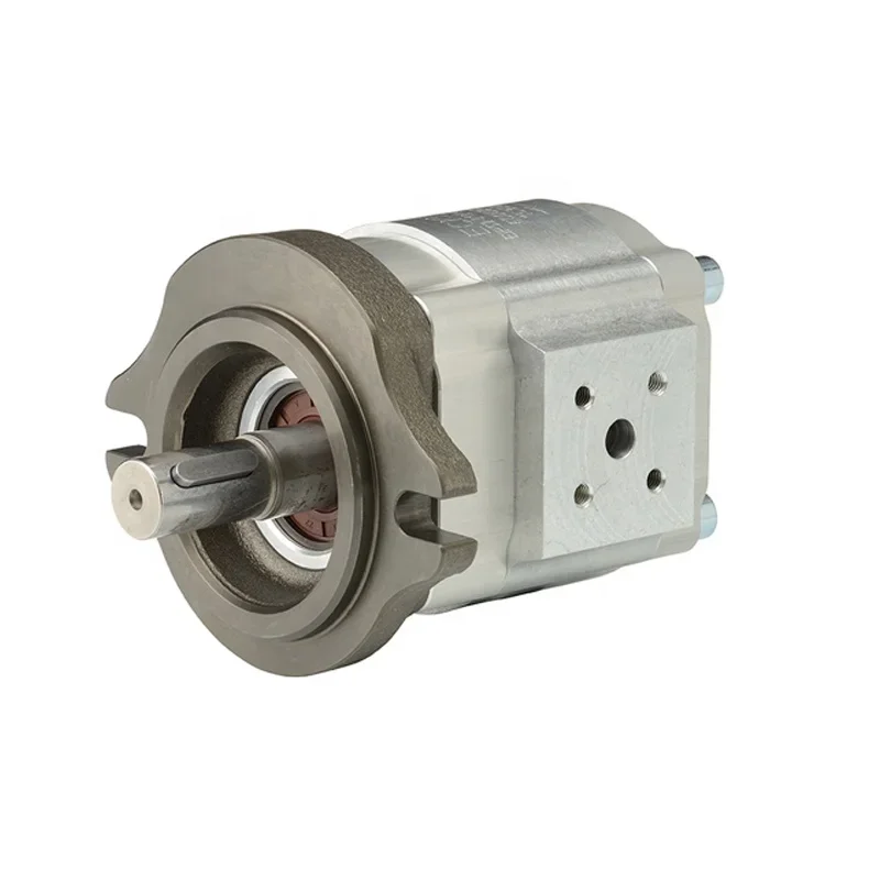 

ECKERLE EIPS2-022RA04-12 S111 Gear Pump Electric Oil High Pressure