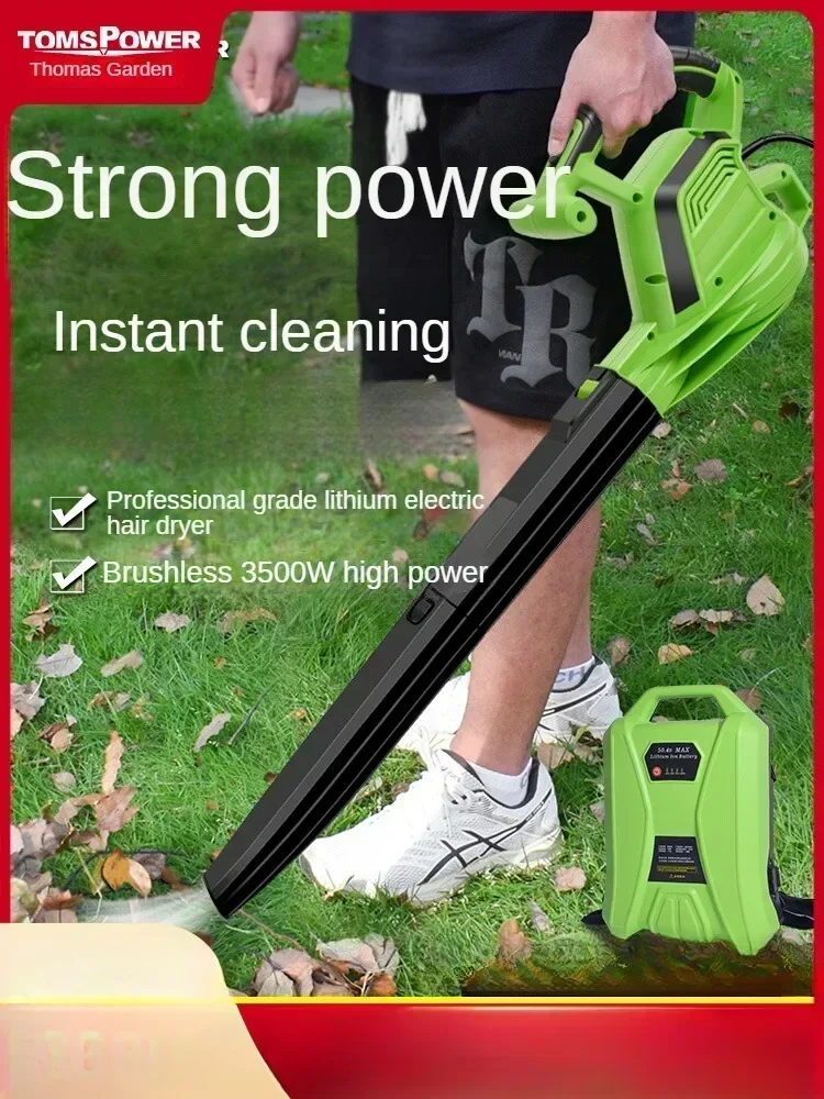 

Professional Wireless Electric Industrial Blower for Leaf Cleaning and Snow Removal