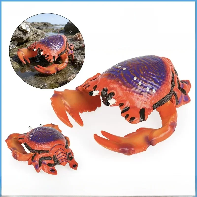 Children's Simulati…