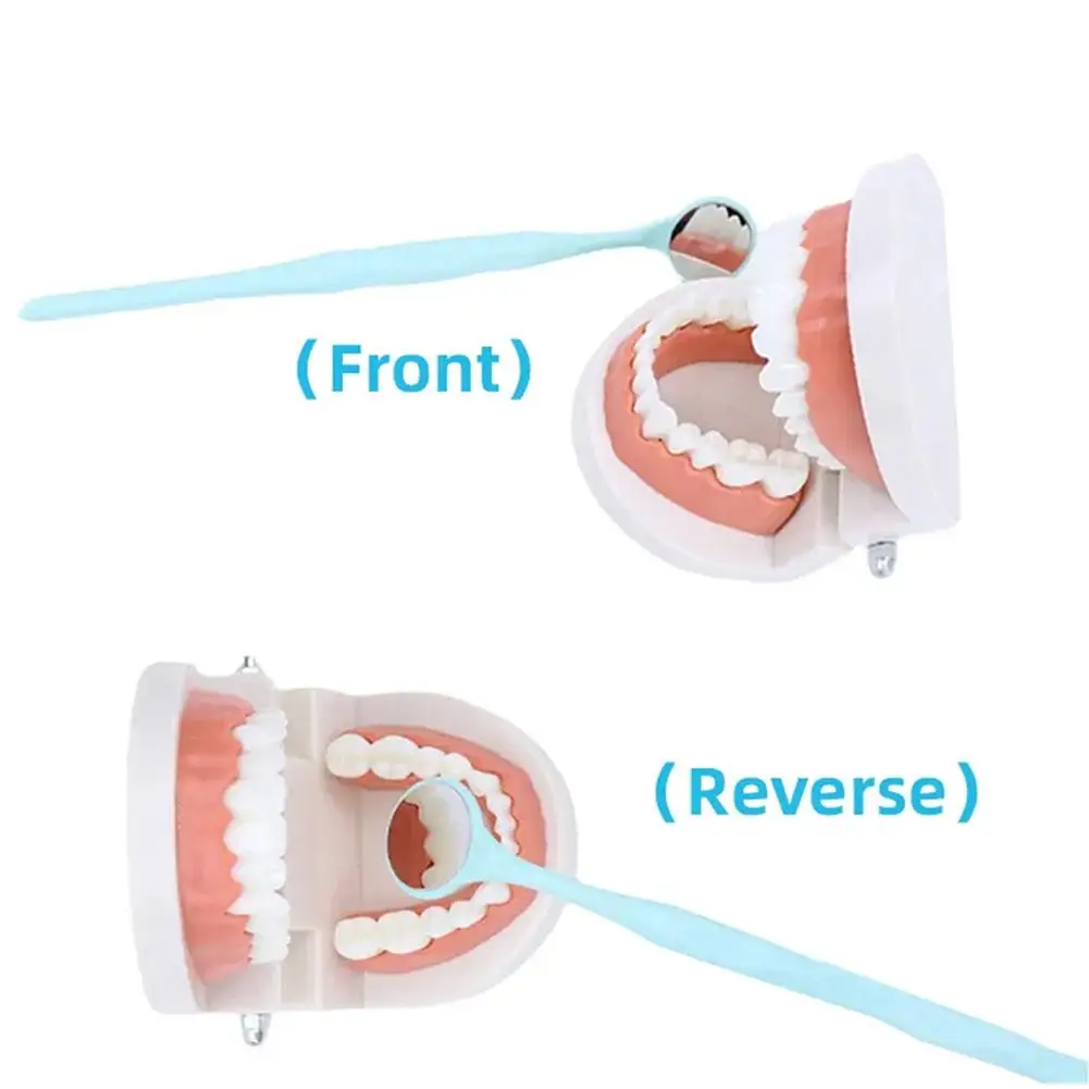 Lustro dentystyczne Kolorowe plastikowe jednostronne/dwustronne lustro do ust Obiektyw HD Pudełko 10-stopniowe lustro dentystyczne pokryte lustrem