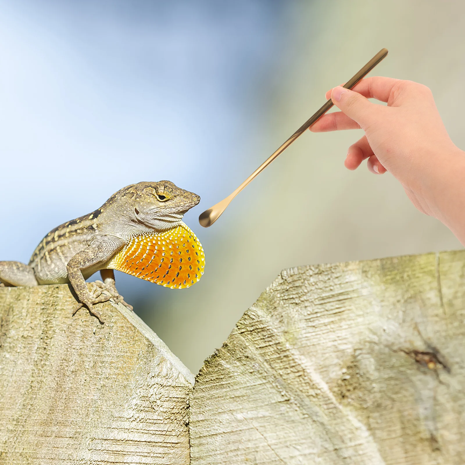 2Pcs Pet Feeding Scoop Stainless Steel Durable Reptile Food Spoon Small Animal Food Feeder Tool Portable Reptile Feeding Spoon