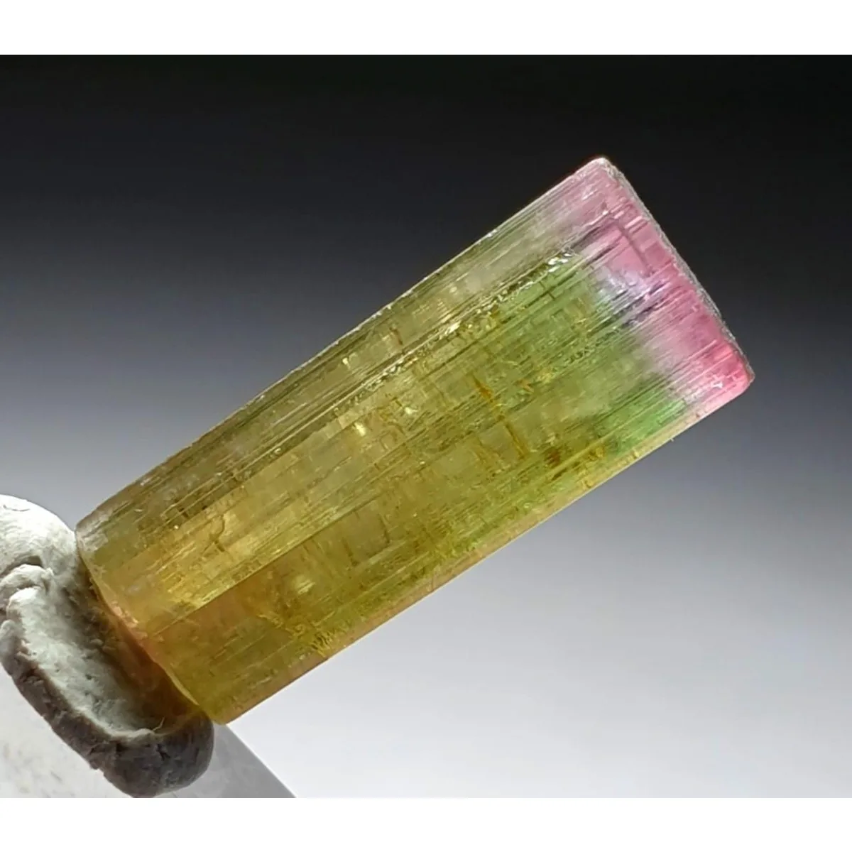 Brazilian Elbaite Crystal Specimen Pack, 10g 5-15mm Rainbow Mix, Display Box for Home Decor & Rock Collection Display