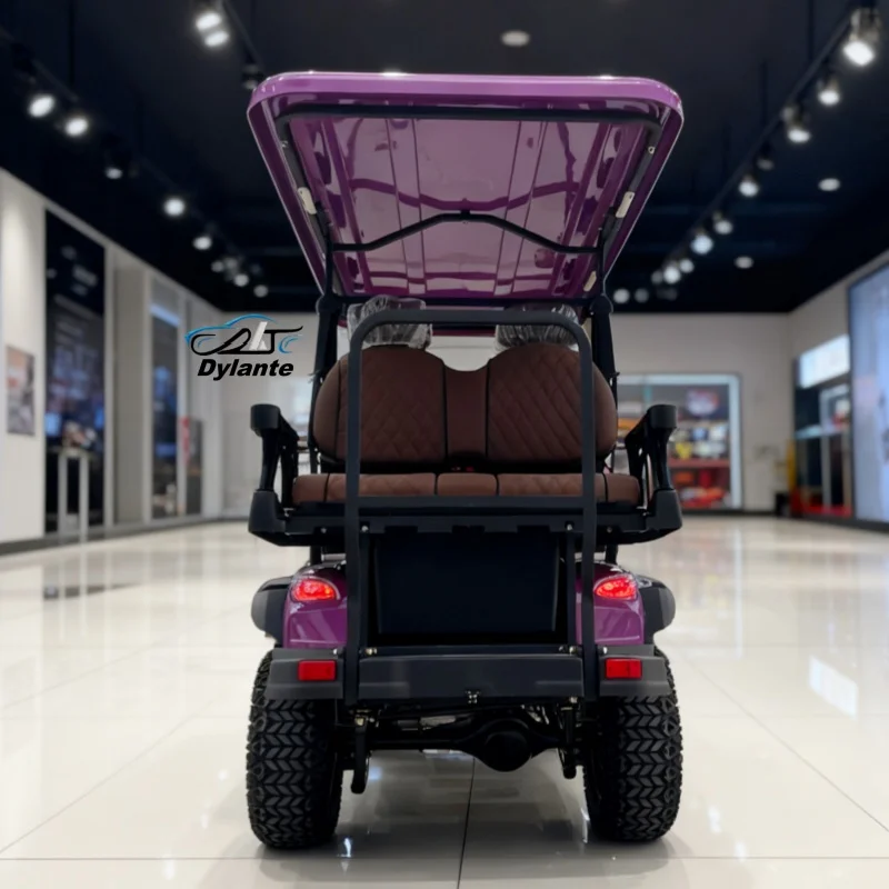CE-geprüfter 6-Sitzer-Elektro-Golfwagen für Touristen, elektrischer Golfwagen mit Ledersitz und Kopfstütze, 14-Zoll-Offroad-Reifen