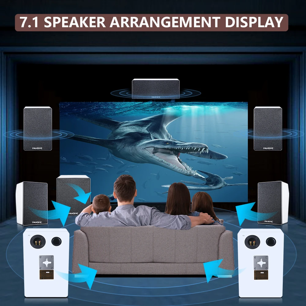 7.1 Home Theater Speakers Professional Shadow K Surround Sound KTV Standalone Speaker System