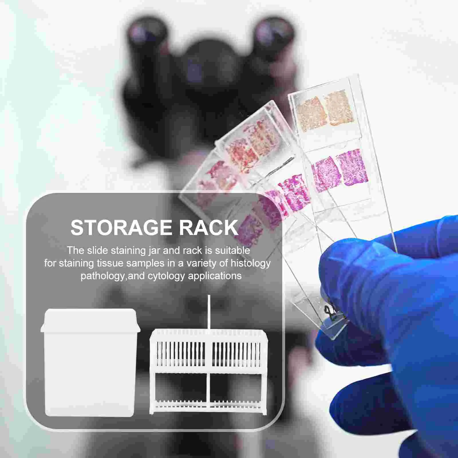 Lagerregal Rutsche Kinderpflanze Terrarium Gläser Kunststoff Mikroskop Rutschen für Labor