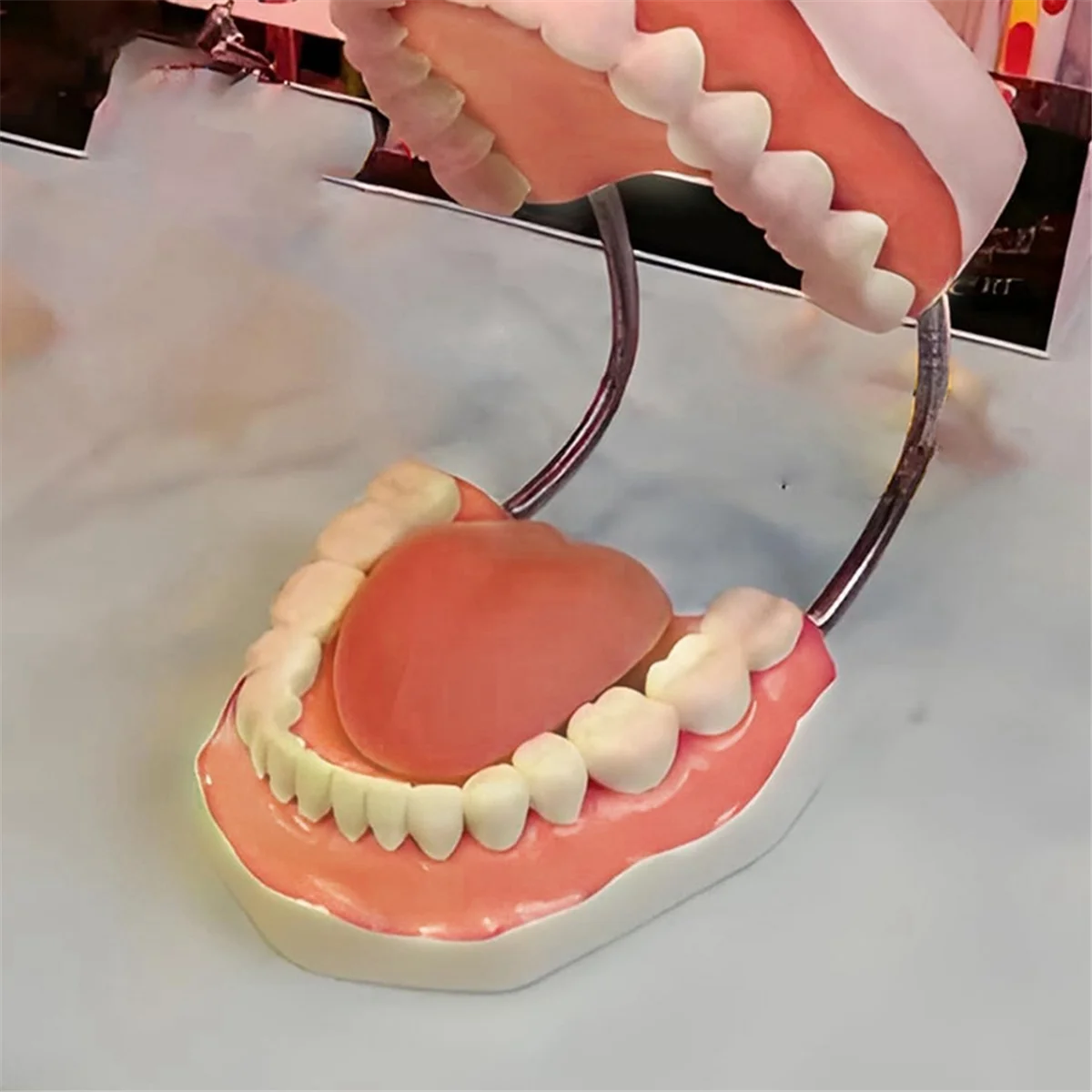 Teeth Mouth Model 6X Enlarged with Metal Hinge, Complete Set Teeth and Removable Tongue, PVC Speech Therapy Tool
