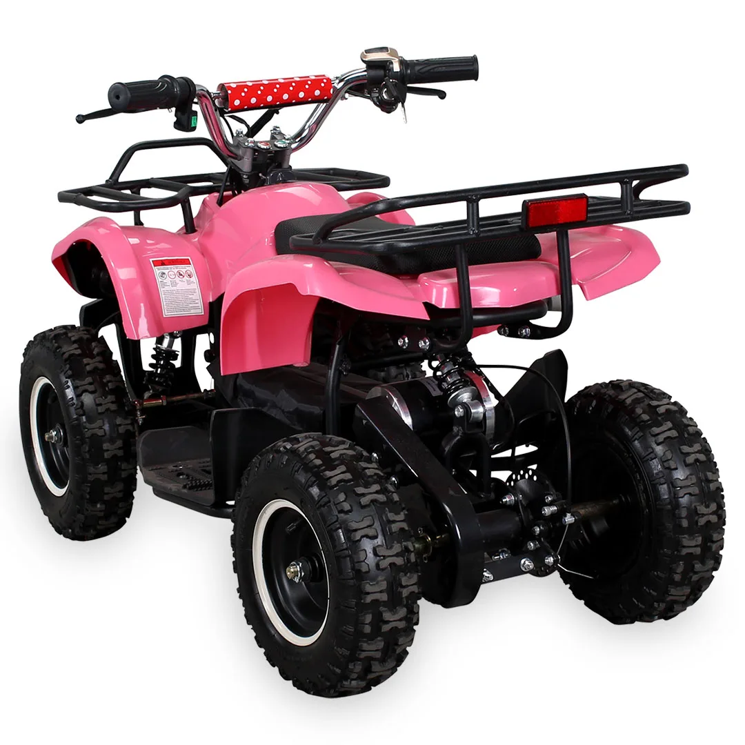 Jinling New Arrival 48V 1000W Electric ATV Mini Quad Atv For Kidscustom