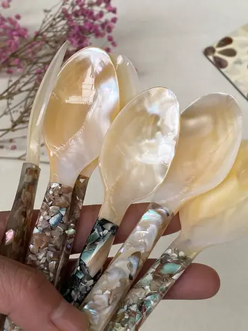 Sked av natursnäckor för kök, pärlsnäcka, månskenssnigel, kommersiell västerländsk sked, enkel hushållssköt med utsökt porslin 10 best sales skalsked - №8