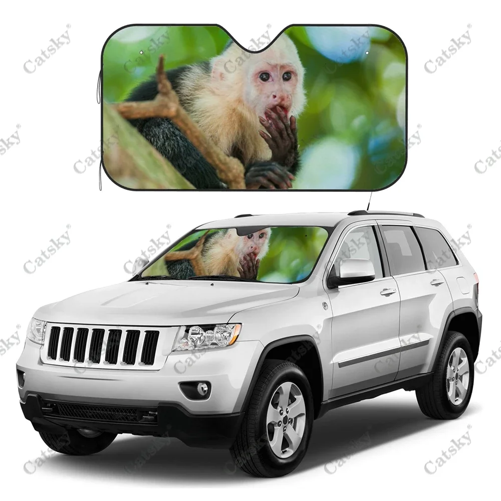 capuchin monkey Car Sunshade Interior Accessories Folding Sunscreen Anti-UV Pattern Printing Gift Sunshade