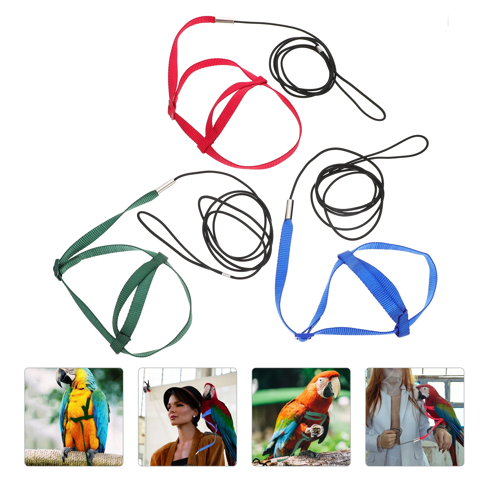 

3 Pcs Parrot Flying Rope Bird Harness Leash Chicken Training Tiger Skin Birds Pet Cloth