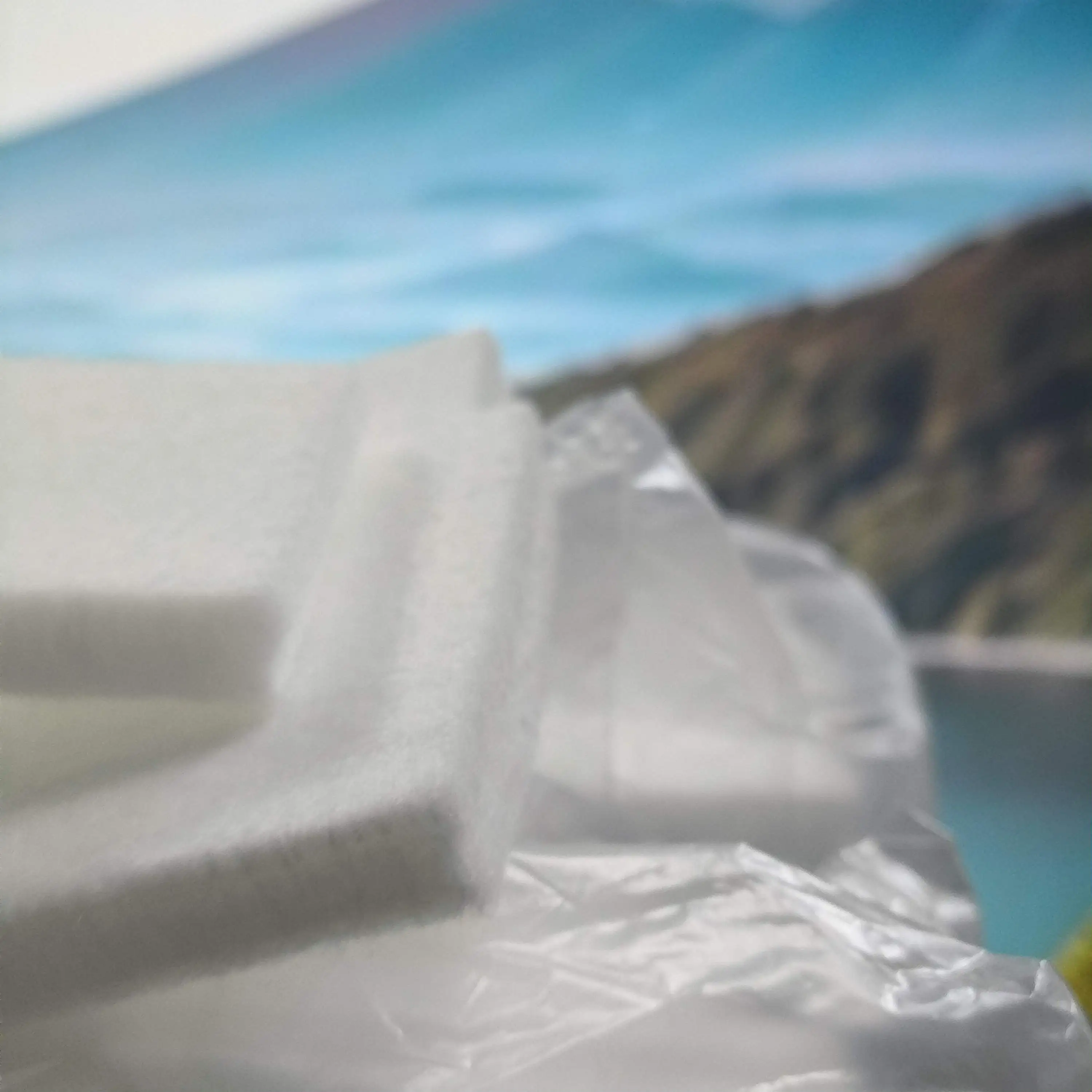 1 губка для поглотителя чернил для BROTHER DCP J100 J105 J132W J152W J172W T300 T500W T700W MFC J200 J245 T800W LEK119001