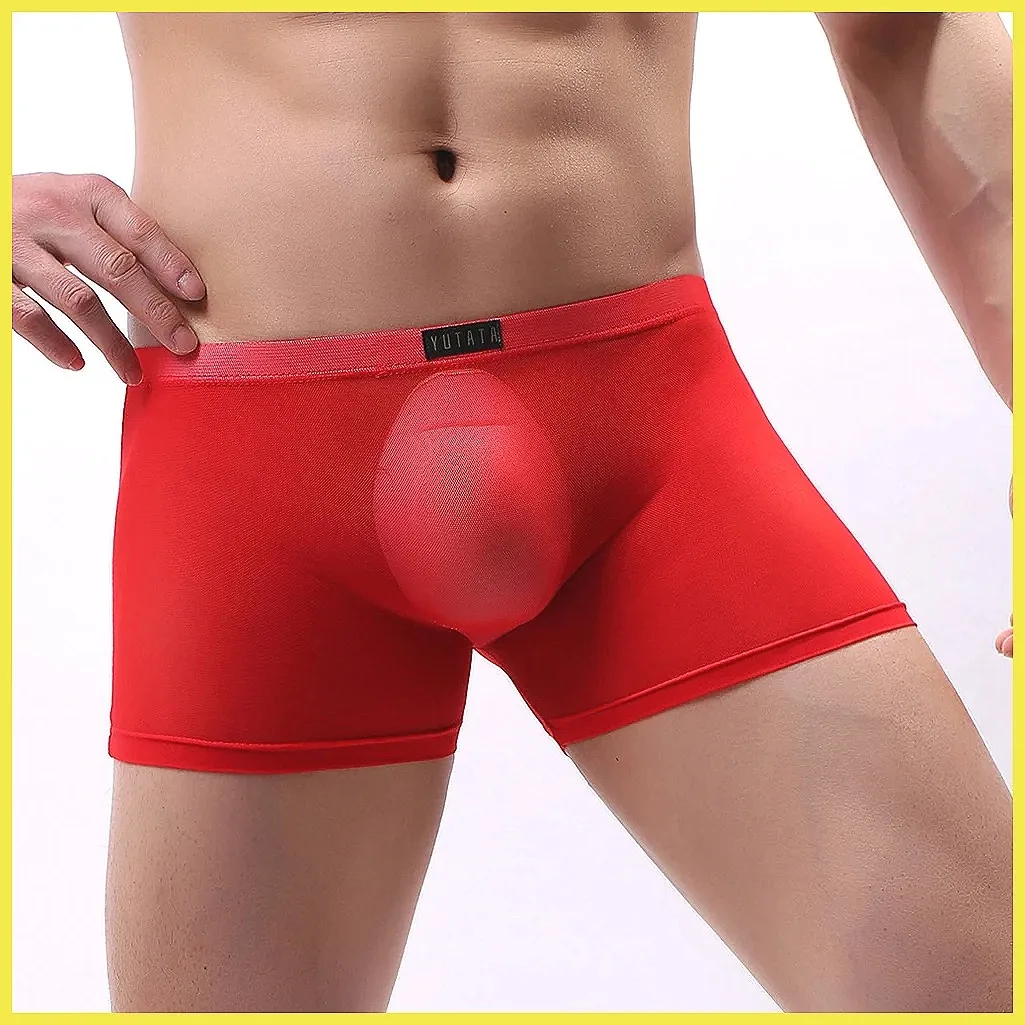 Men's Mesh Boxer Shorts Transparent See-Through Penis Pouch Comfortable Sexy Underwear Gay Long Underpants