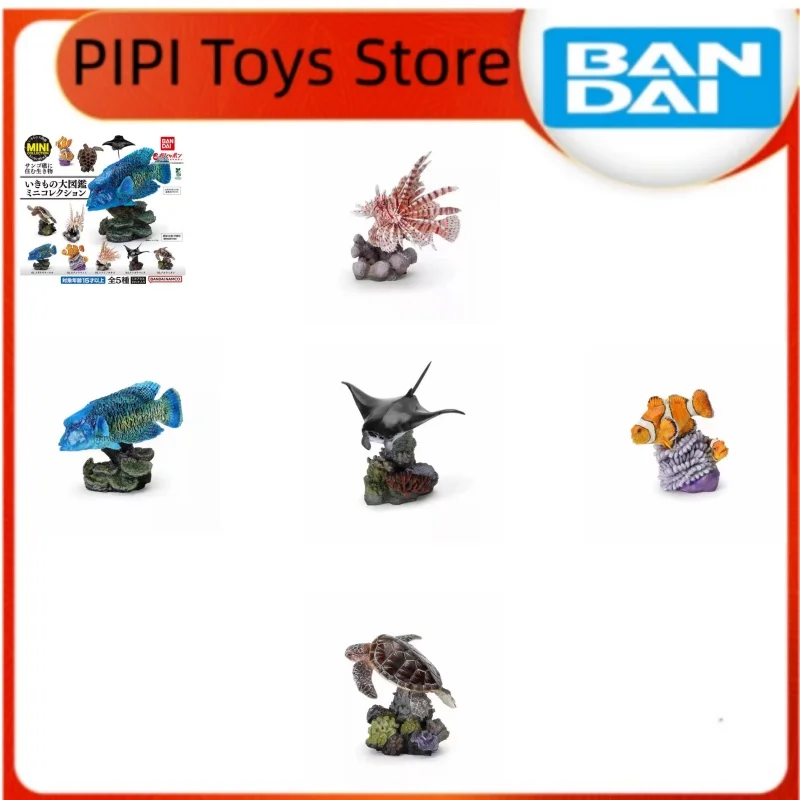 bandai-original-genuine-ikimono-encyclopedia-mini-collection-creature-che-vivono-nei-barriere-coralline-ocellaris-clownfish