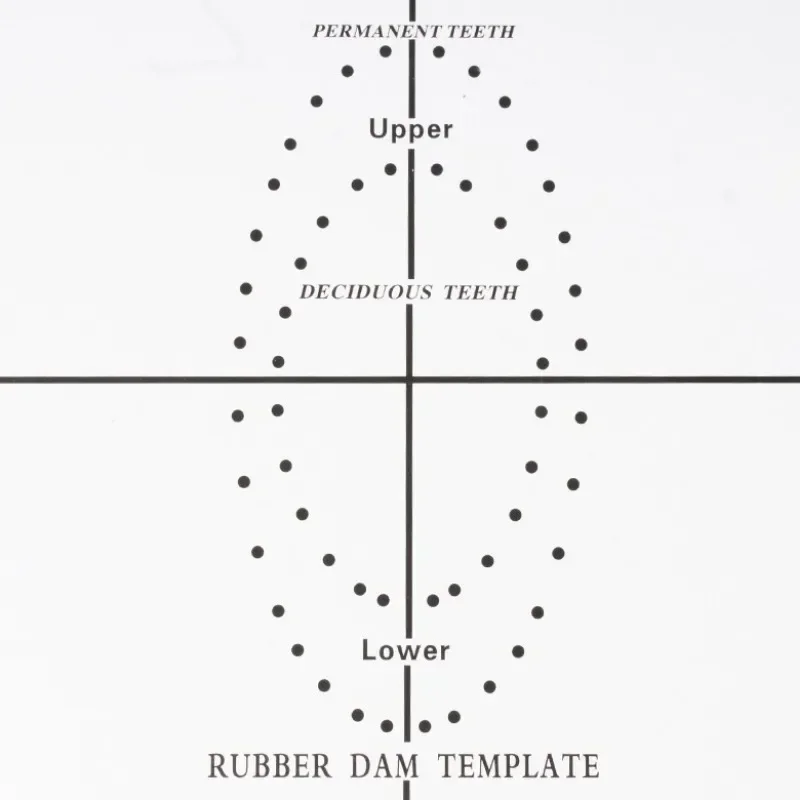 Modello di posizionamento della barriera in gomma dentale Fogli per diga in acciaio inossidabile Perforatrice per fori Punzoni endodontici per orientamento della barriera