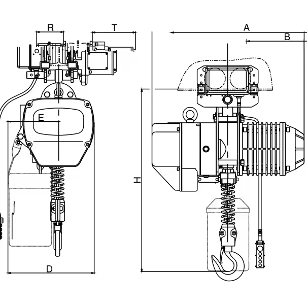 

Customizable Logo Electric Hoists With Wide Variety Fixed Running Voltage Low Altitude Net Chain Sling Type Lifting Height