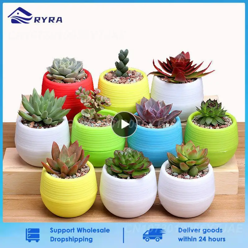 Colorful Mini Potted Plant Pot For Office Decoration Flower Plant Pots Indoor Garden For Succulent Small Planter Office Decor