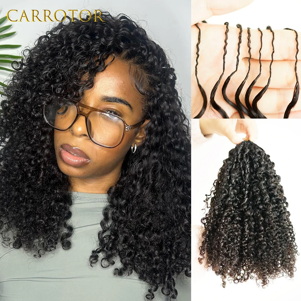 Afro Kinky Burmese Curly Crochet Human Hair 100% Virgin Human Hair Knotless Pre-Separated Crochet Feather Hair Extensions Curly