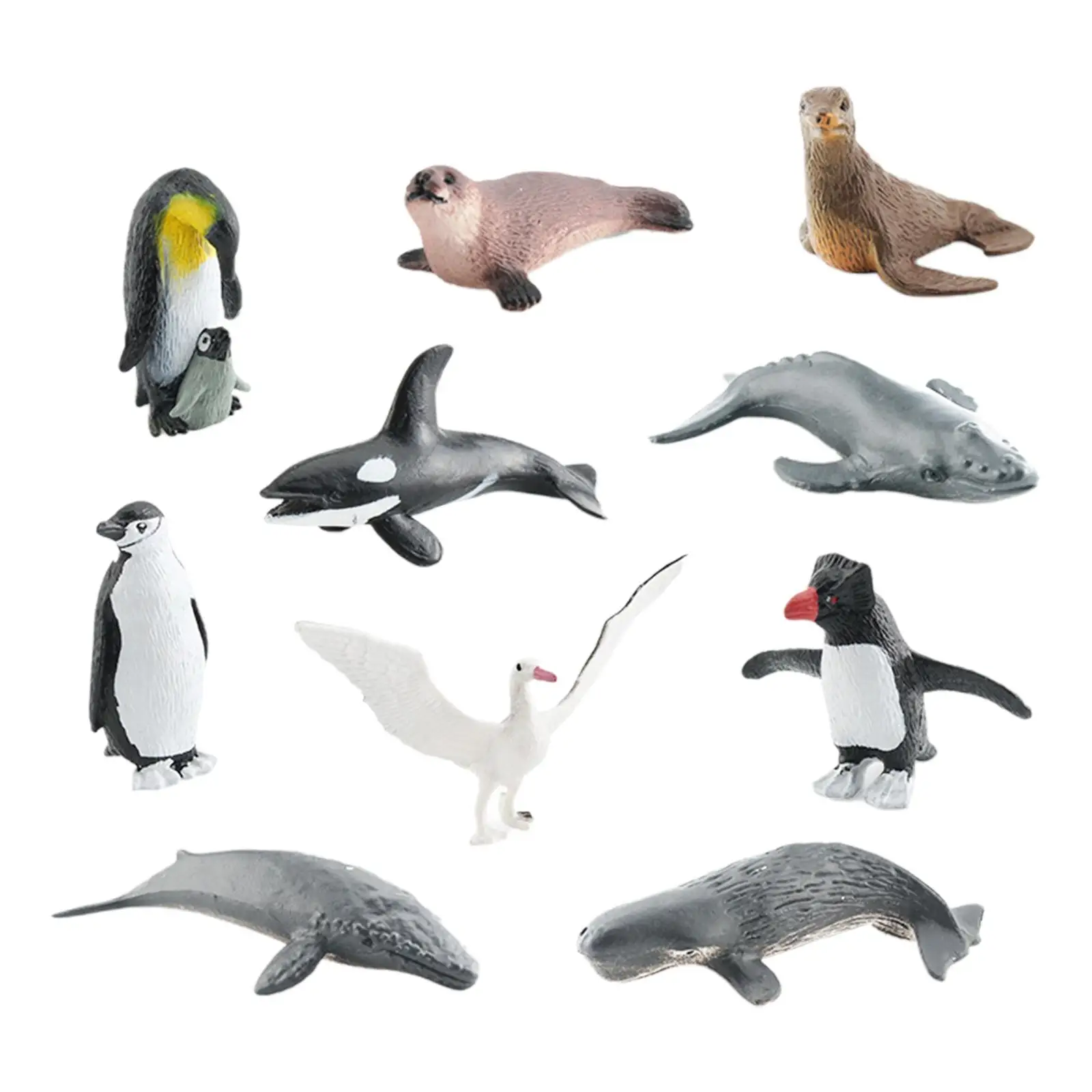 10Pcs Antarctic Marine Animals Simulation Animal Model Toy for Children Toy