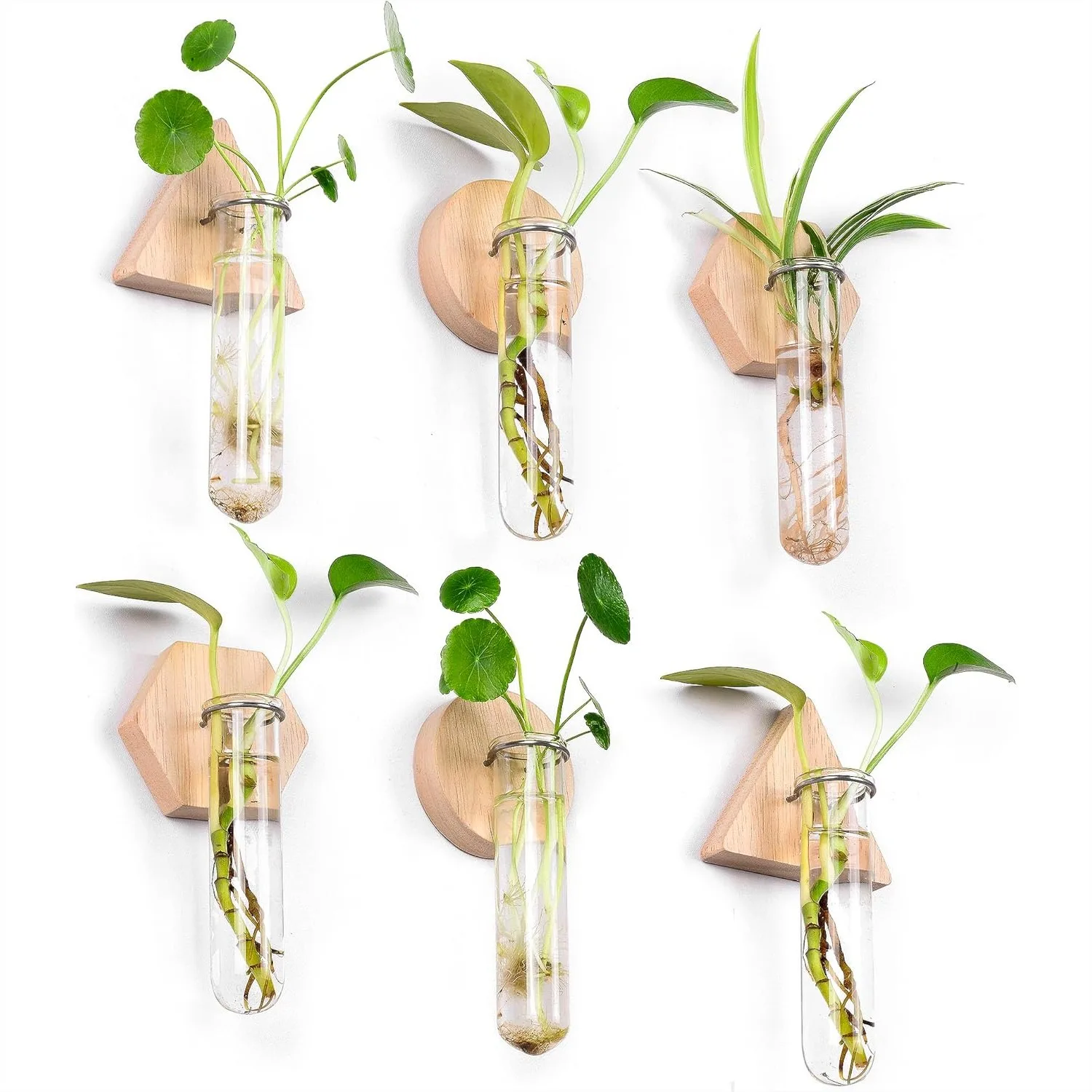 

Wall Hanging Planter Glass Plant Propagation Station with Geometric Wooden Stand for Home Office Decoration