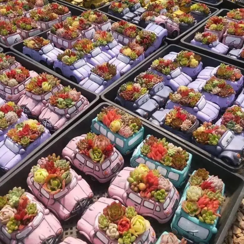 Y88A Pequeno motocar