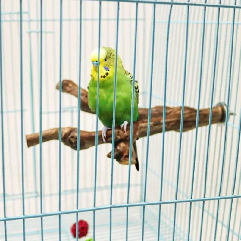 Natural Bird Perch Stand 6