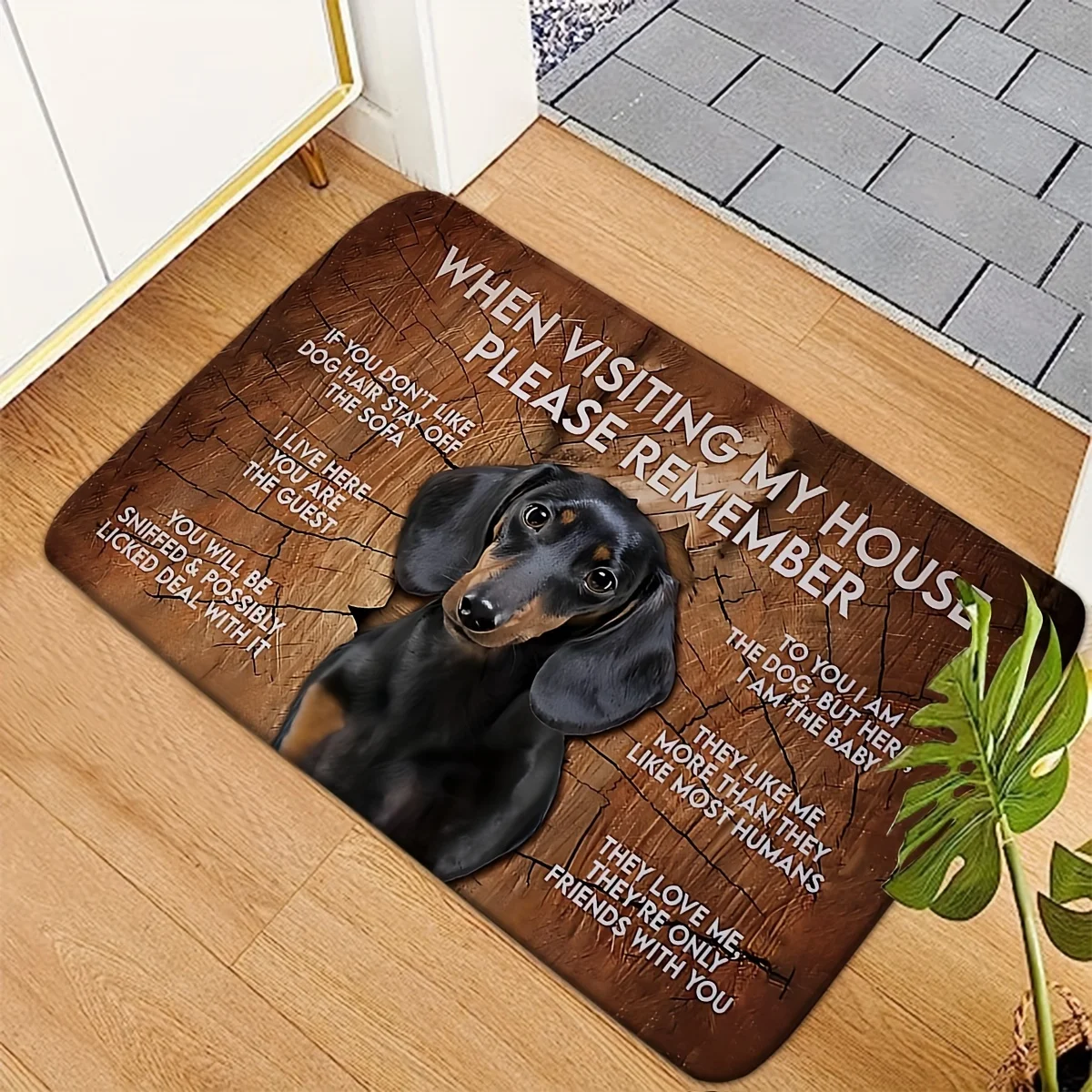 Festive Dachshund Door Mat – Pawsitively Clean with Groomed Pooch Charm, Non-Slip Machine-Washable Mat for Pet Lovers