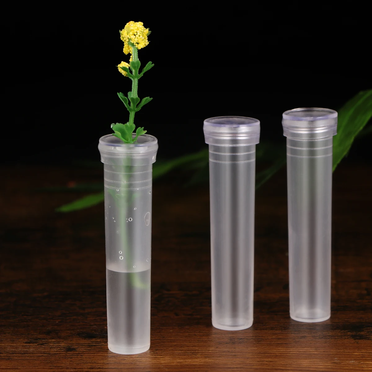

50pcs Fresh Flowers Water Storage Tube Premium Plastic Flower Nutrition Container For Long- Durable Transparent