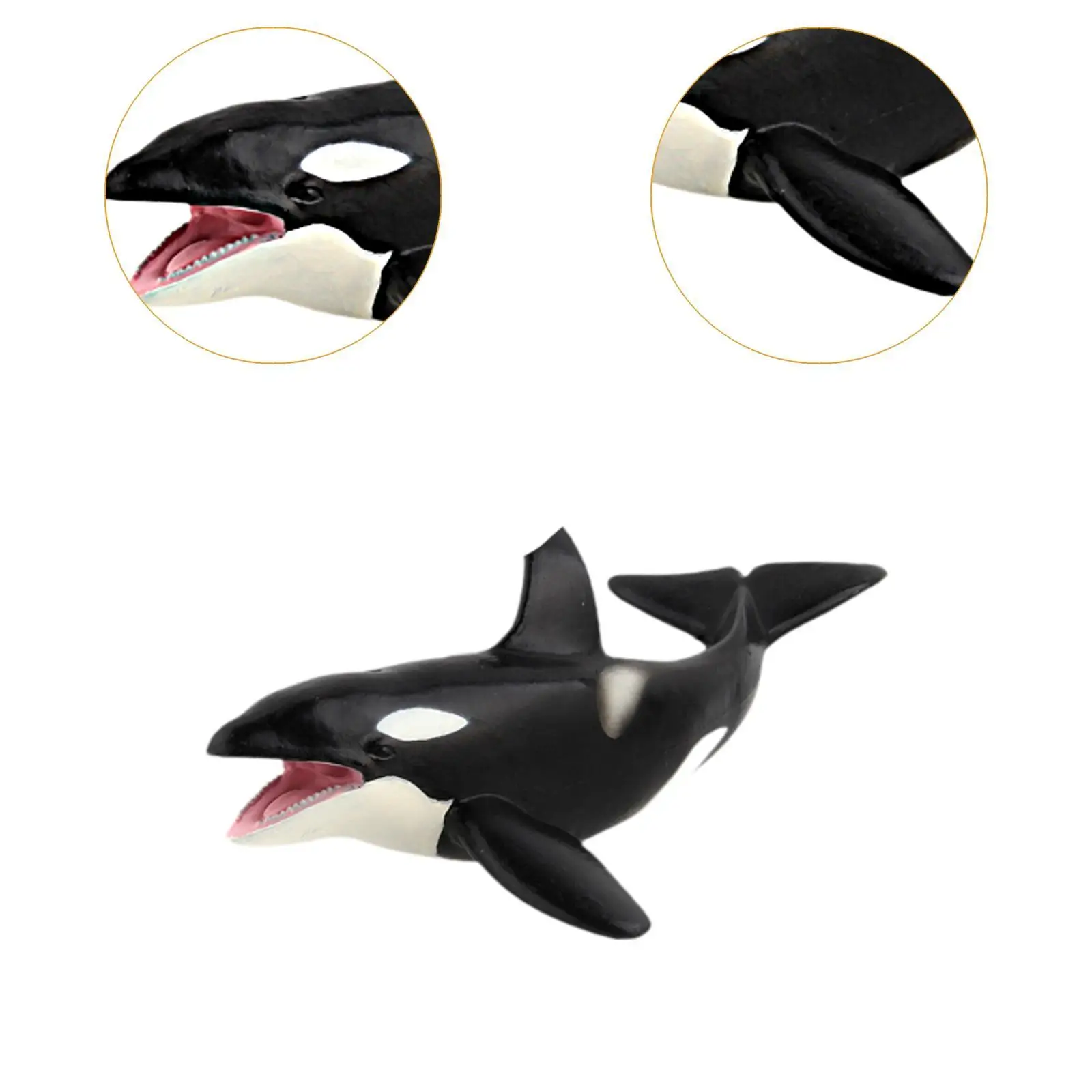 Simulazione Balene Modello Figure Figurine di animali marini Giocattolo educativo Forniture per feste Figurine da collezione per regali per bambini