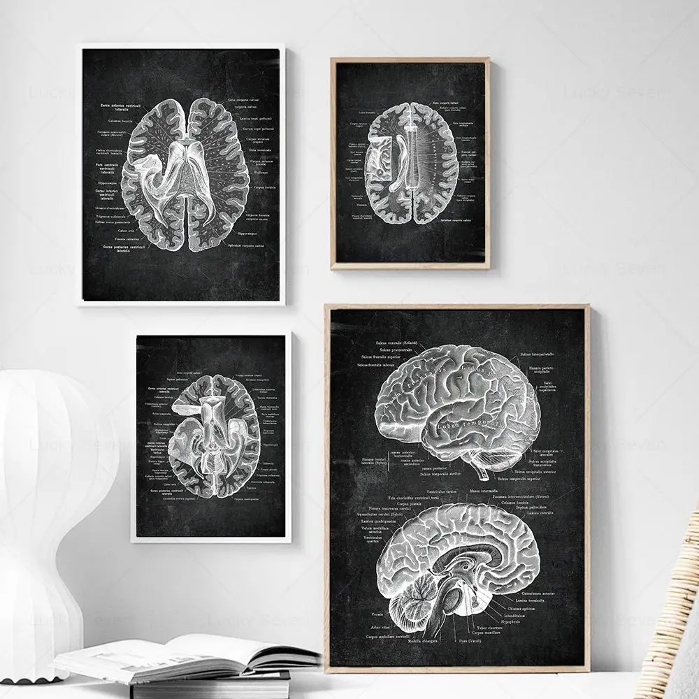 Vintage Human Head Anatomy Art Poster Medical Wall Picture Brain Neuroscience Canvas Painting Print Doctor Office Clinic Decor