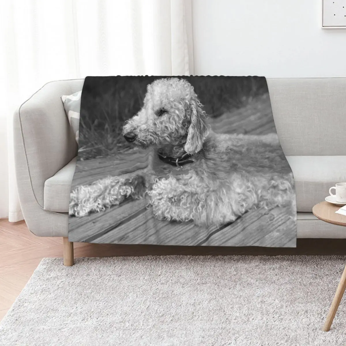 Bedlington Terrier Photo Throw Blanket Furrys manga heavy to sleep Tourist Polar Flannel Blankets