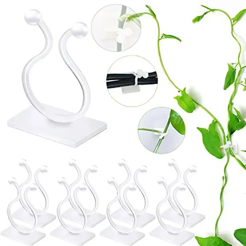 

Plant Climbing Self-Adhesive Wall Vines Tools Fixture Plant Wall Fixture Clips Fixed Hook Home Garden Wall Sticky