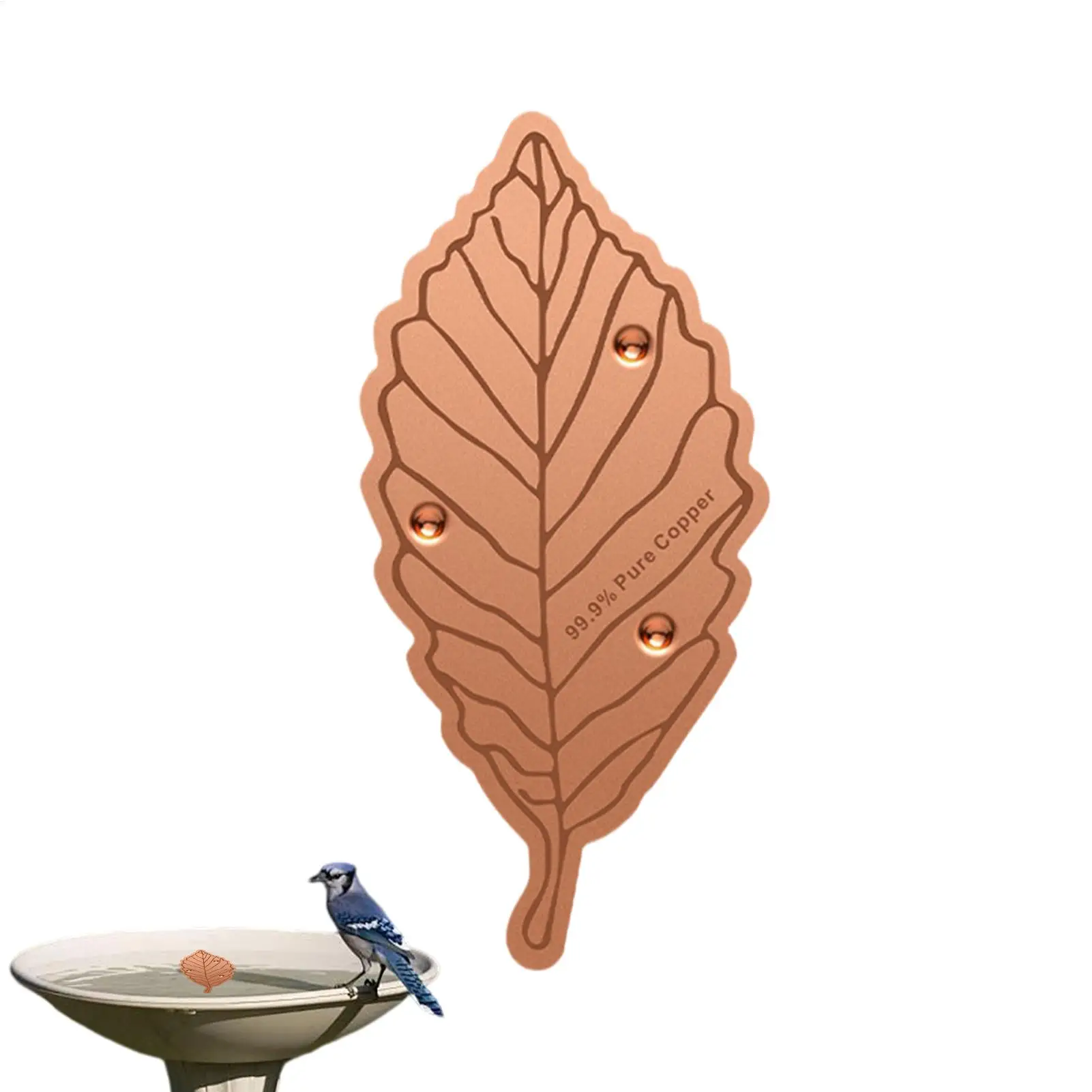 Bird Bath Copper Disk Copper All-Season Safe Water Cleaner Bird Bath Purification Disk For Garden Yard Patio Balcony Lawn