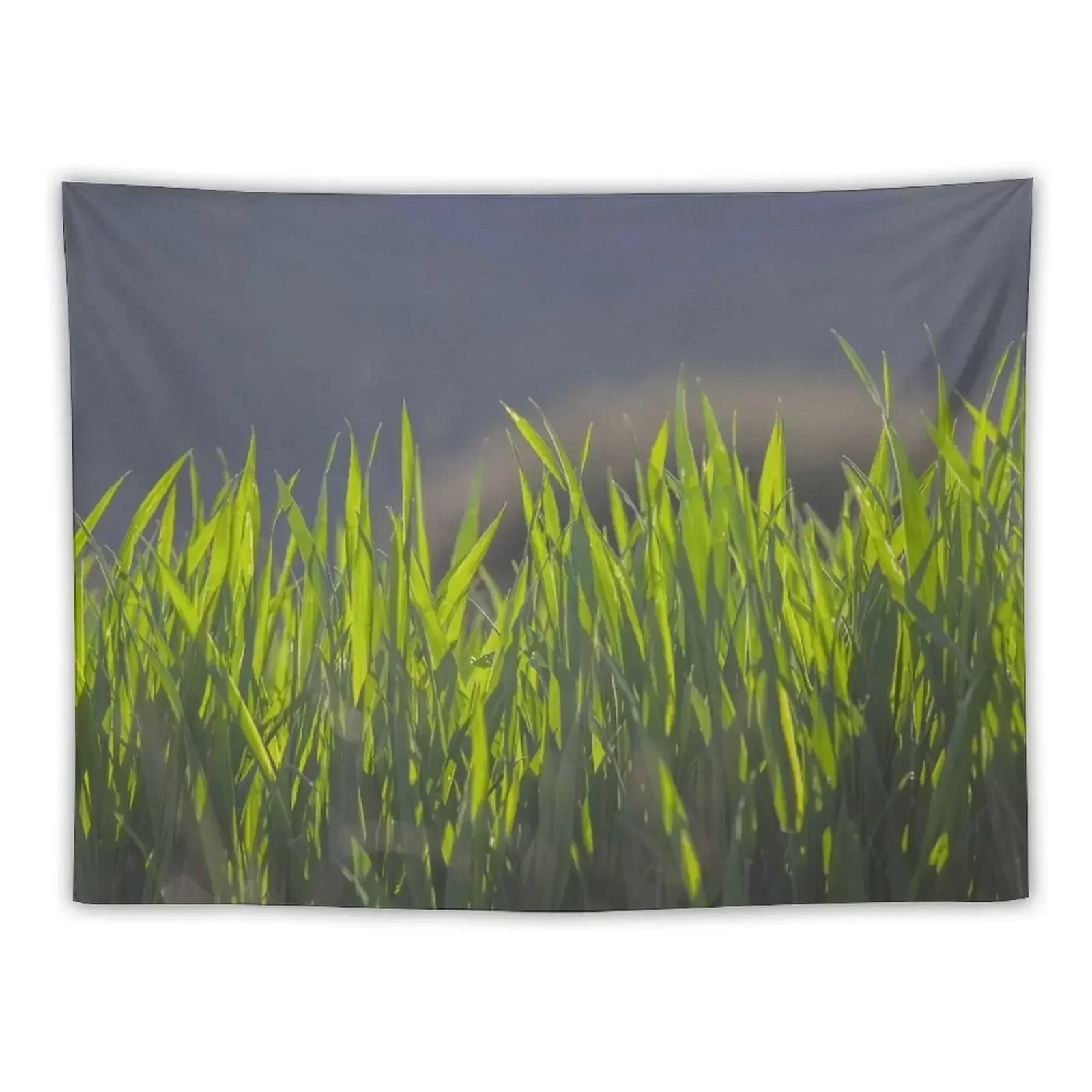 

Grass Tapestry Aesthetic Decoration Decoration For Bedroom Wall Hanging Decor Tapestry