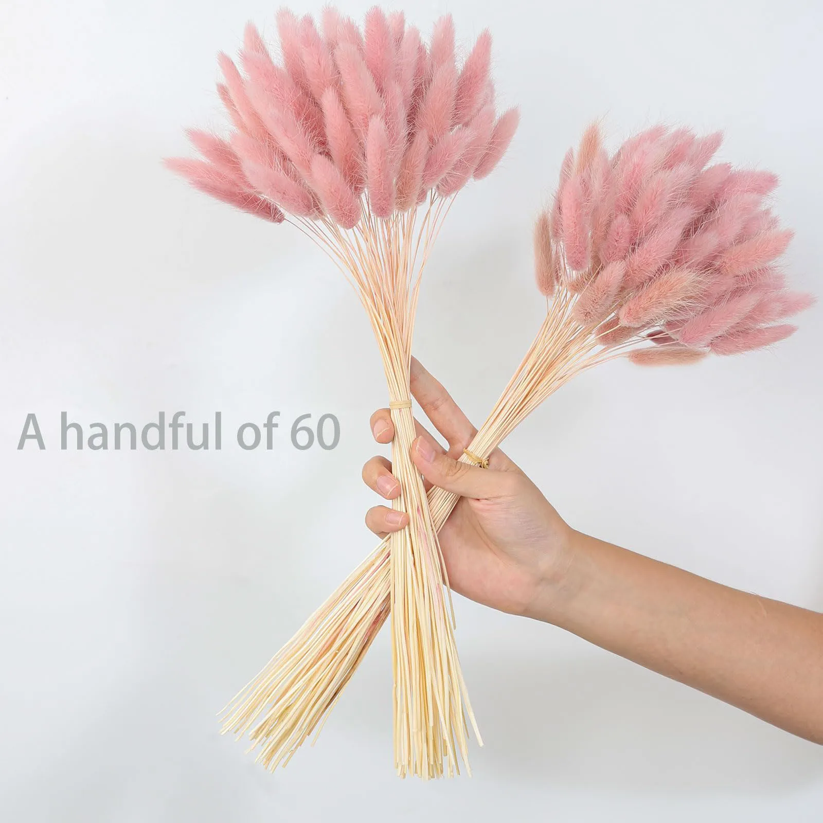 Queues de lapin Pampas séchées roses, 120 tiges, décoration d'herbe, fleurs Pompas pour centre de Table de mariage Boho, décoration de Table de maison et de chambre à coucher