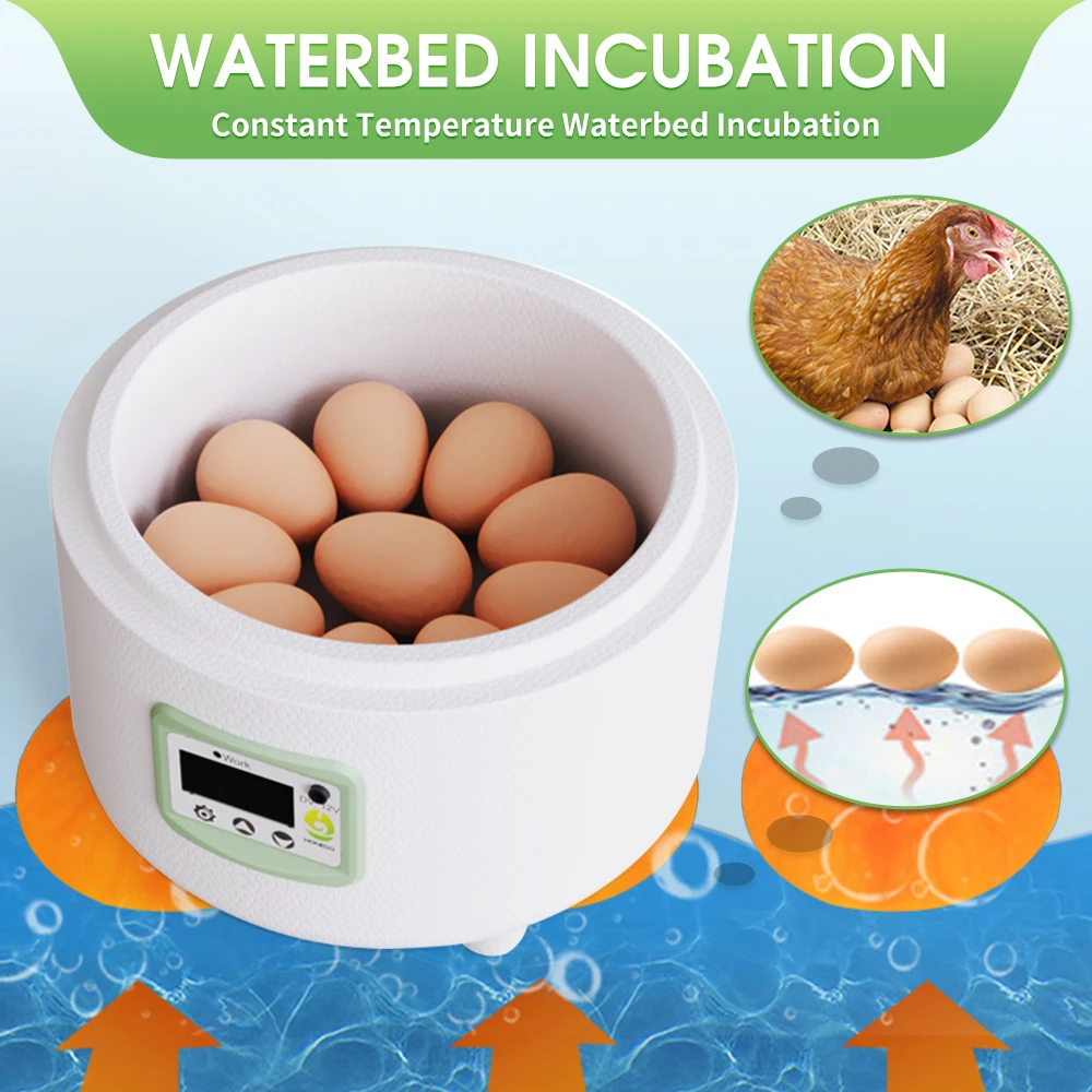 9 Eggs Incubator Simple operation Chicken, Duck and Bird Incubator Small household intelligent incubator