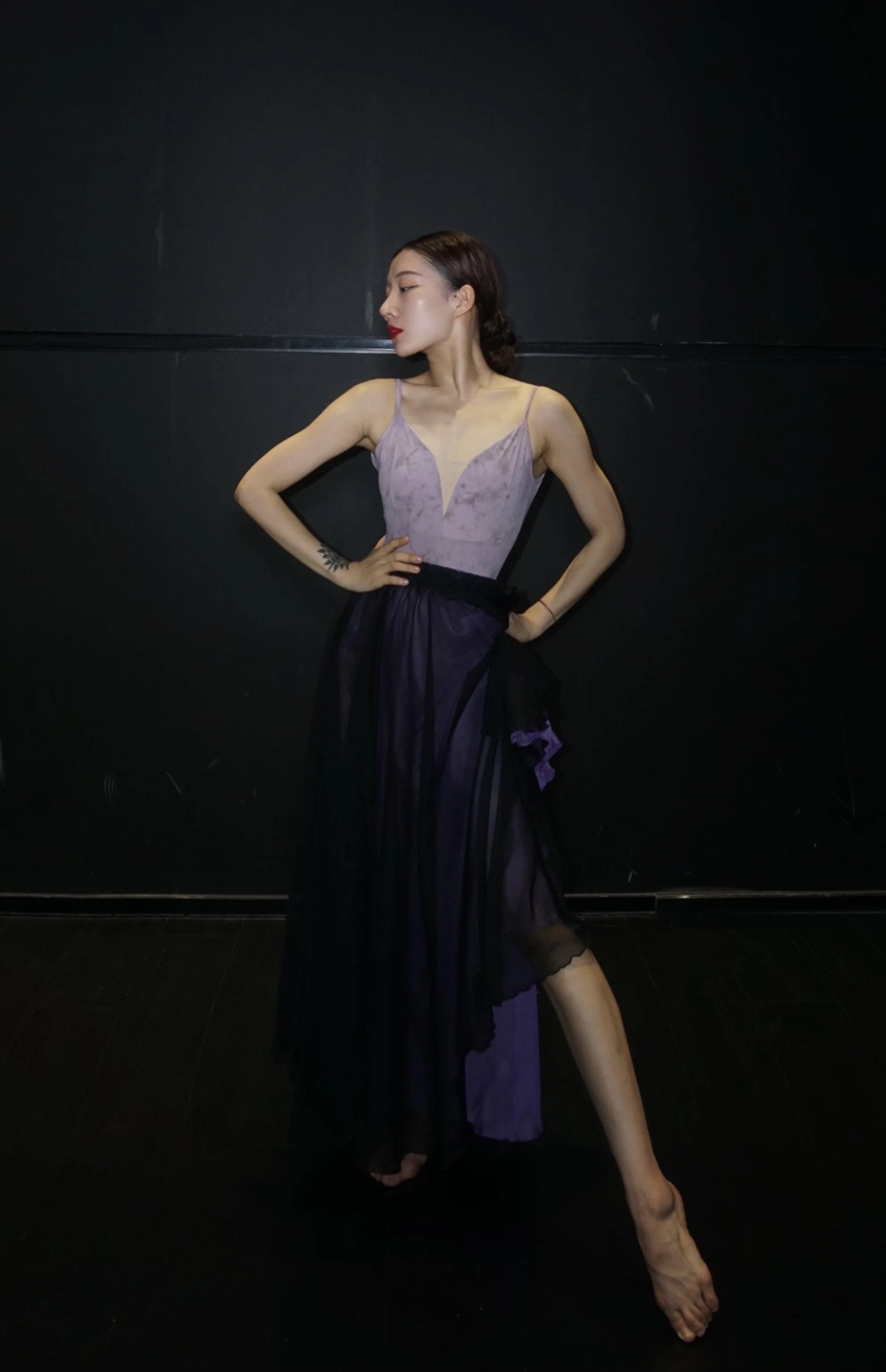 Customizable Colors Adults Women Dance Skirts Chiffon Skirts Lyrical Soft Ballet Dress Black Purple Translucent Dance Costumes