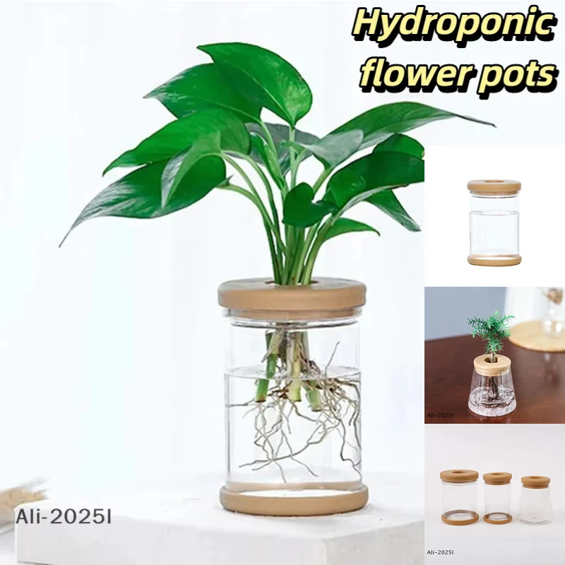 

Hydroponic flower pots Automatic water-absorbing flower pot Plant Flower Pot Flower Arrangement Tabletop Ornament Gardening