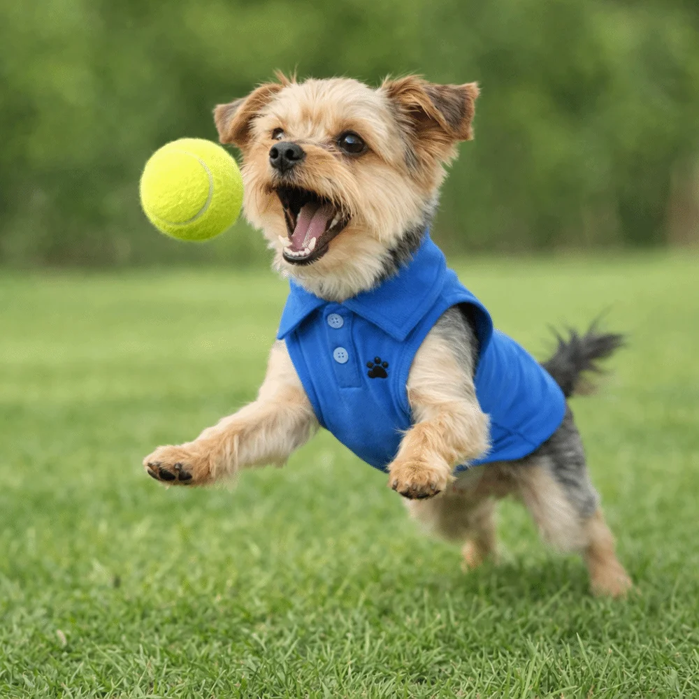 Pet Cool Clothes Breathable Pet Dog Shirt Soft Two-legged Pet T-shirt Solid Color Thin Material Dog Short Shirt Daily Walk