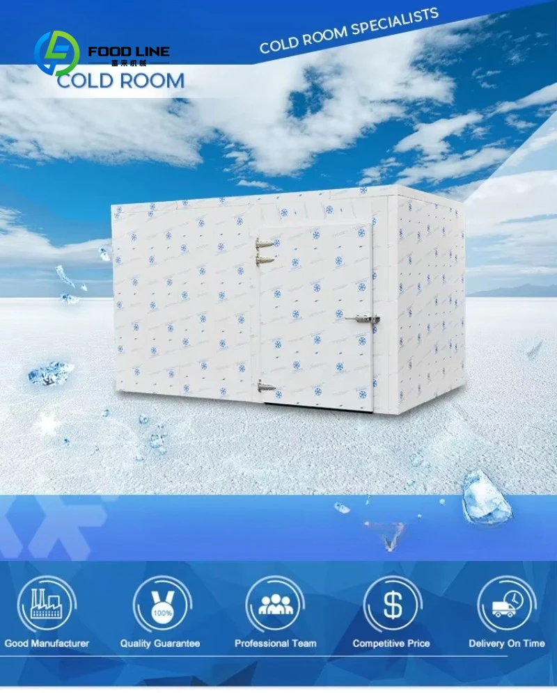 Hot Sale Customized 40㎡ Cold Room - Commercial Cooling Room for Fish Storage & Preservation