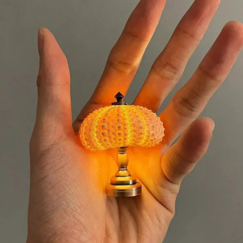 Sea Urchin Night Light Sea Urchin Shell Beach a tema Fun Night Light Animal Night Light lampada da comodino