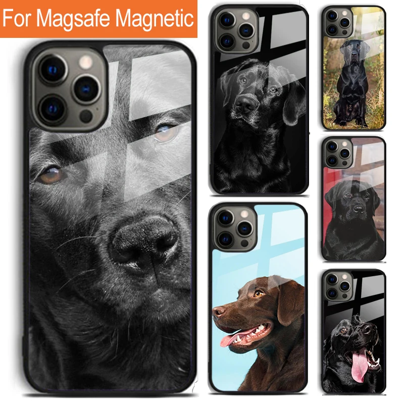 Black Labrador Dog Phone Case For iPhone 16 15 14 13 12 11 Pro Max Plus Magsafe Magnetic Wireless Charging Cover