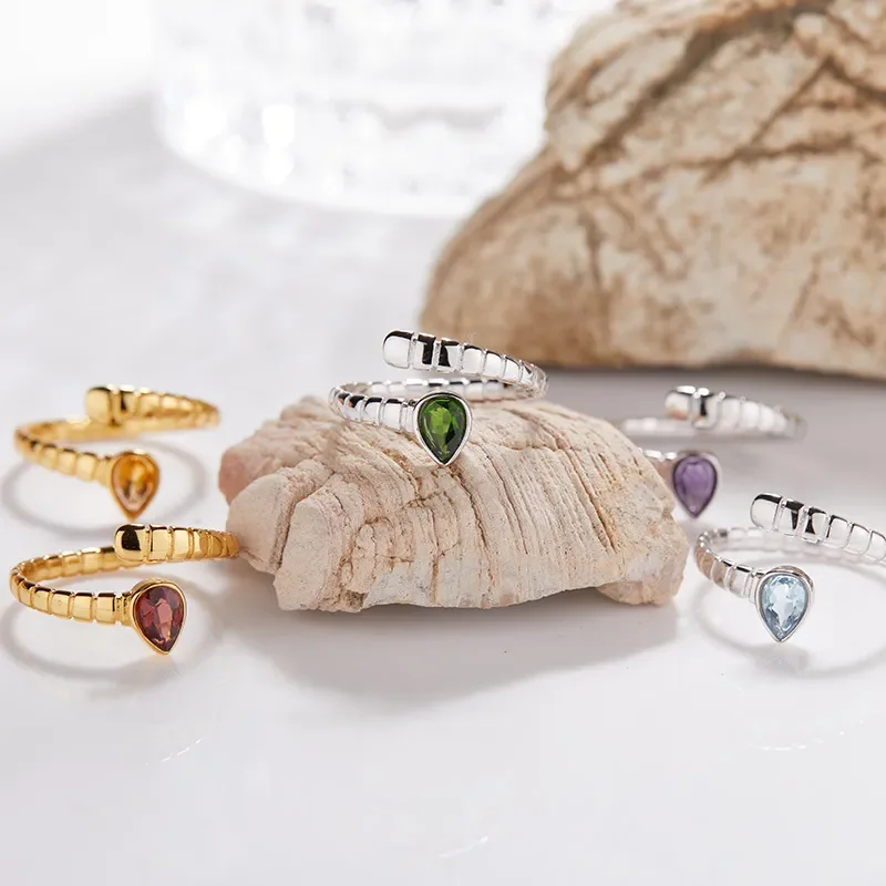 2025 popular S925 sterling silver plated 18K gold snake colored treasure ring, advanced non-fading Ins wind niche index