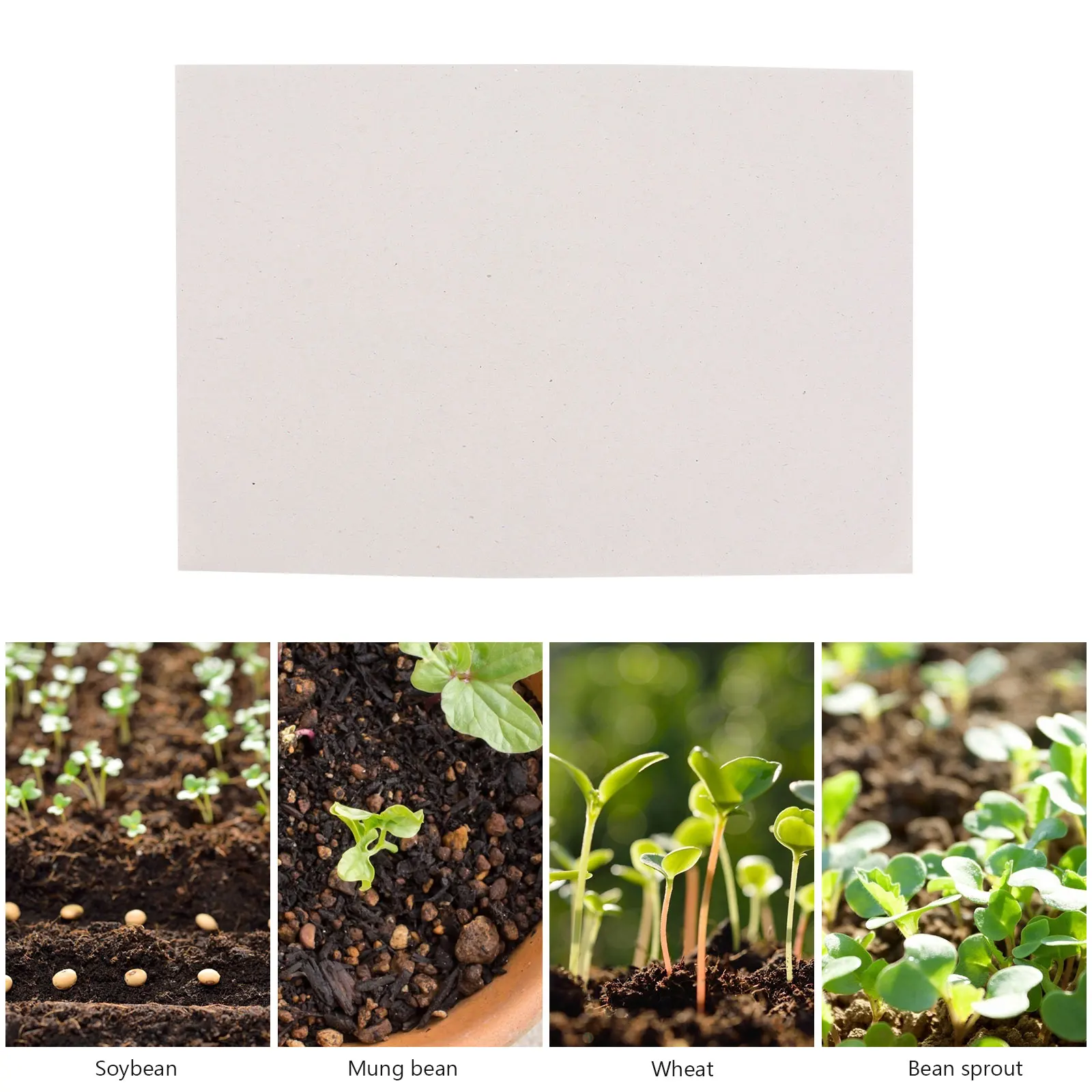 Paper Microgreens Germinating Growing Germination Tray Sprouter Planting Hydroponic Grow Vegetable Nursery Kit Mats Organic