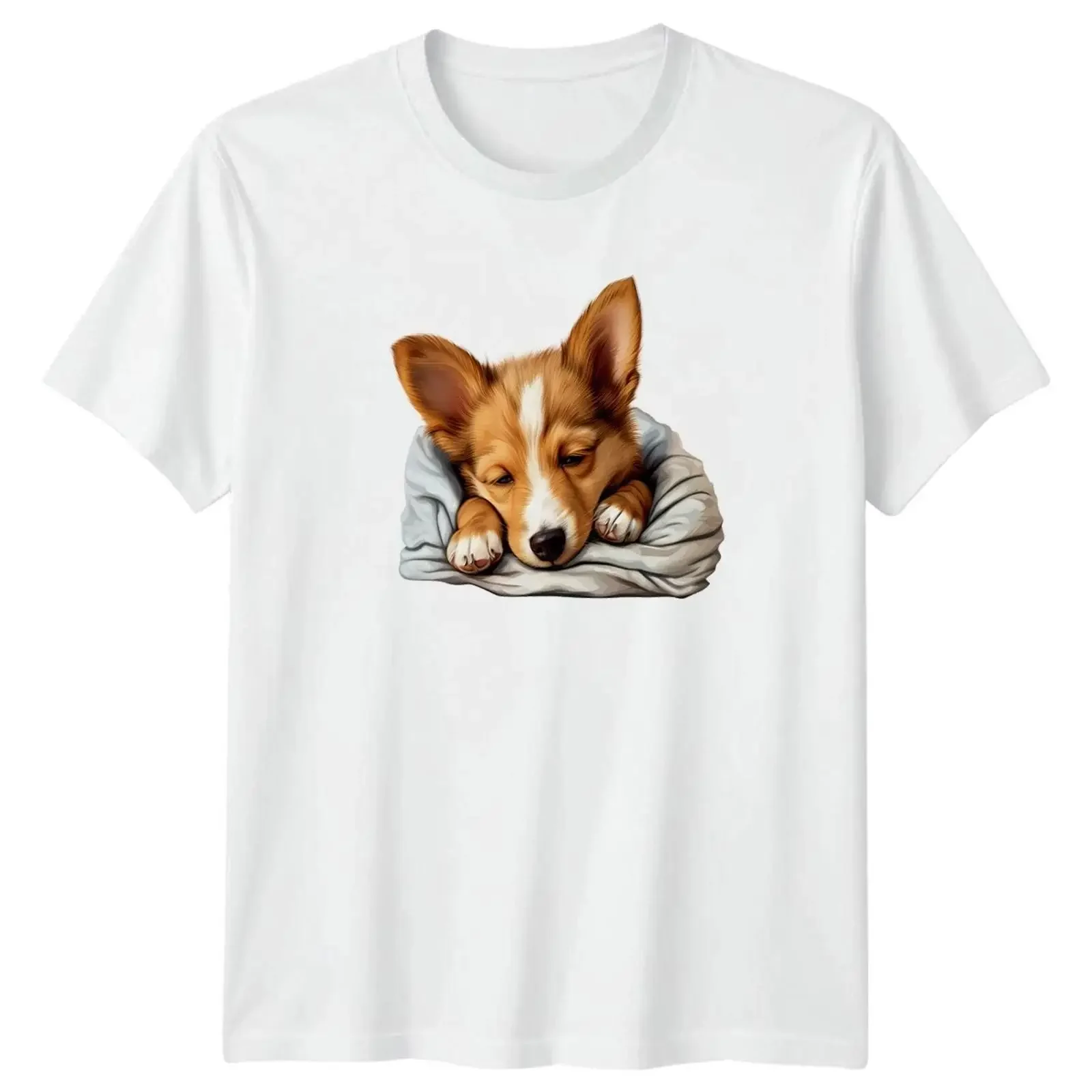 Just Five More Minutes Sleepy T Shirt Corgi Puppy Dog vintage Washed Breathable designer clothes homme fashion graphic