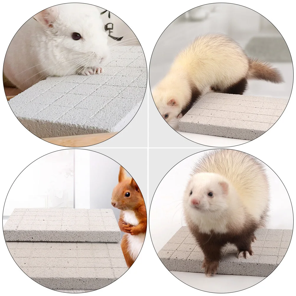 

1Pcs Volcanic Pet Grinding Feet Mat Rabbit Squirrel Chinchilla Scratch Board Cage Use High Quality Material Chic Fresh Design