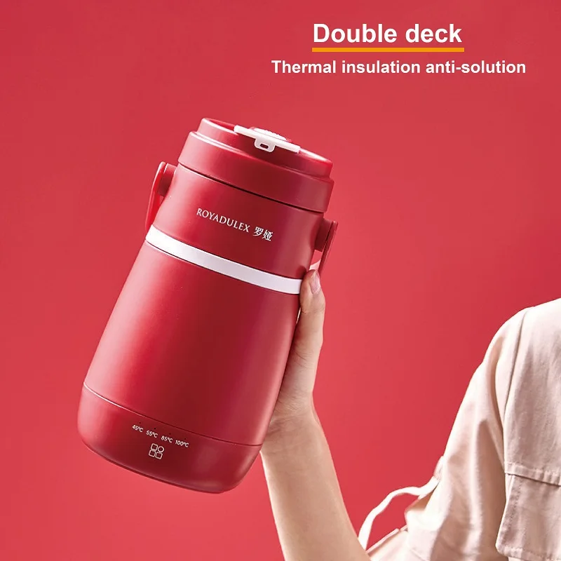 220V Electric Hot Water Cup 600ml Travel Boil Water Cup 304 Stainless Steel Temperature Control Electric Kettle Thermos Cup