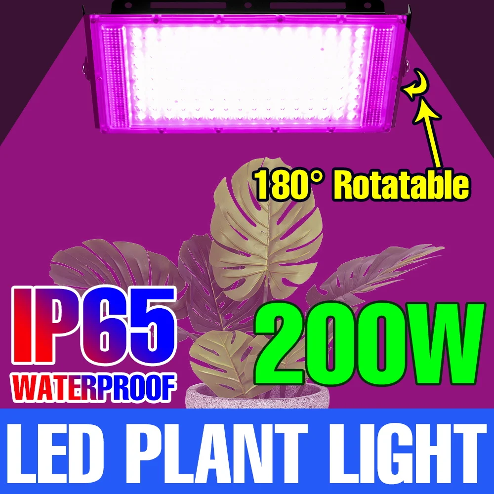 

200W LED Plant Grow Light 220V Full Spectrum Indoor Seedling Cultivate Lamps Greenhouse Tent Vegs Fruits Succulent Fill Lighting