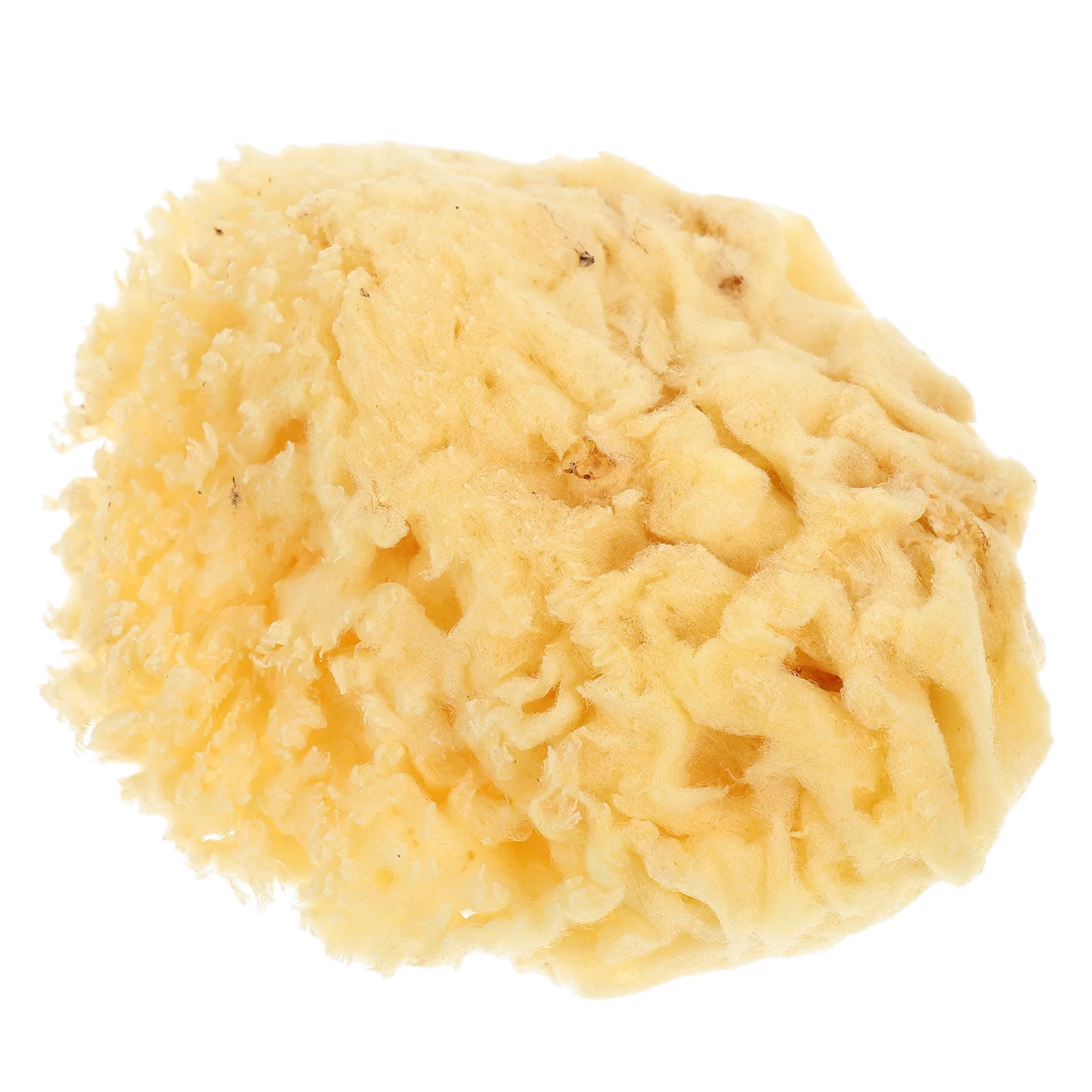 

Natural Sea Tools for Natural Bath Sponges Painting Supplies Kids Craft Mediterranean Sponges Watercolor Texture Paint