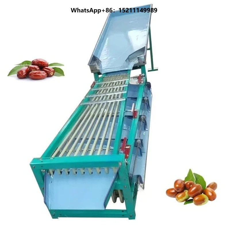 Factory Price Date Palm Tomato Cherry Orange Onion Vegetable Fruits Sorting Grading Machine Lemon Size Sorter Grader Machine